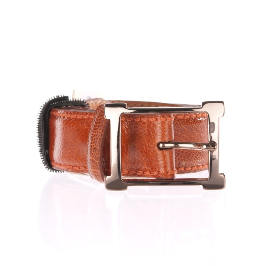 Accessoires Reptile's House | Gurtel „Straus" Orange