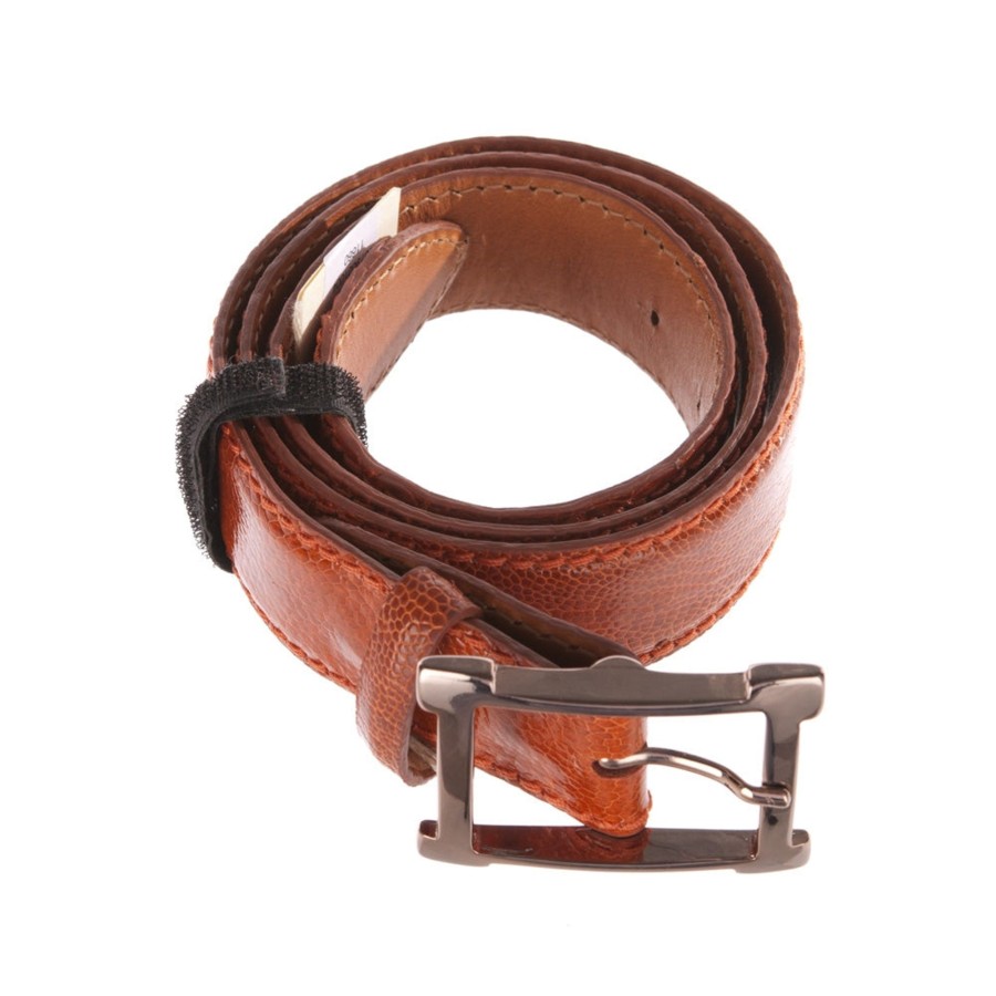 Accessoires Reptile's House | Gurtel „Straus" Orange