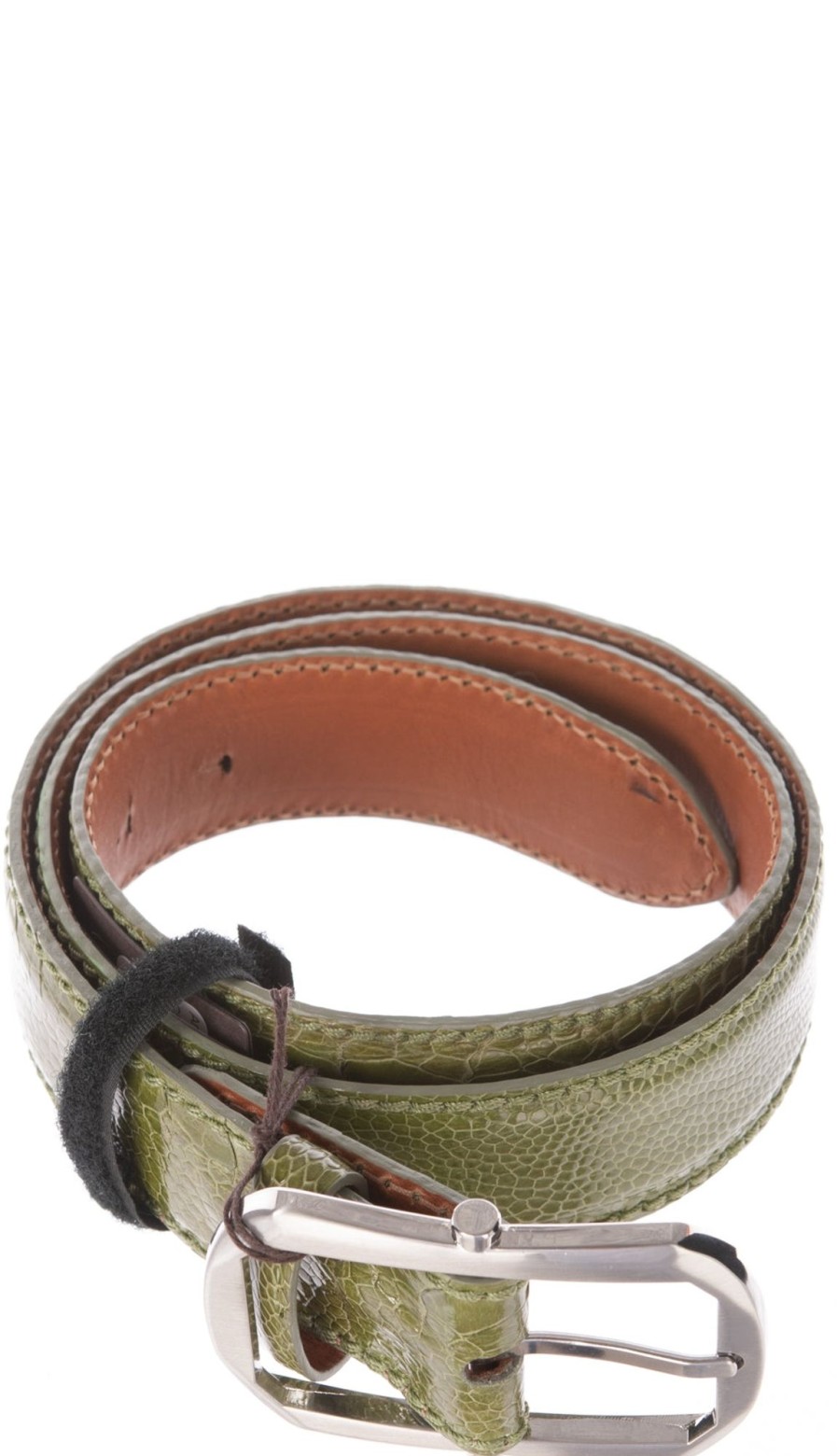 Accessoires Reptile's House | Gurtel „Straus" Grun