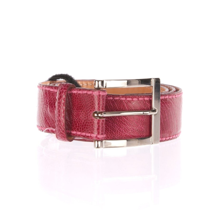 Accessoires Reptile's House | Gurtel „Straus" Pink