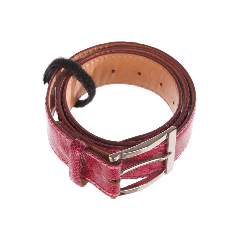 Accessoires Reptile's House | Gurtel „Straus" Pink